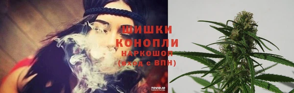 прущие крисы Магадан