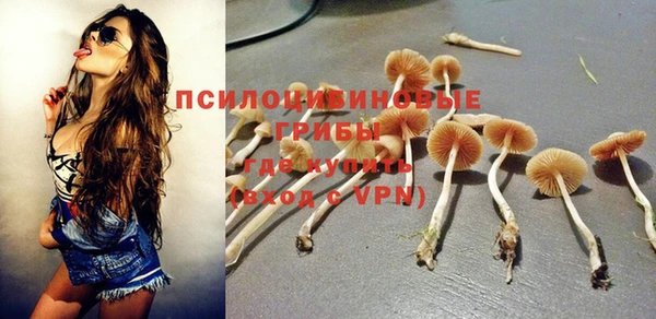 хмурый Майский