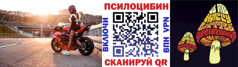 сколько стоит Староминская кракен Галлюциногенные грибы GOLDEN TEACHER